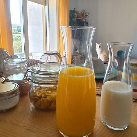 The House Of Cats Apartment Oliveira do Douro  Luaran gambar