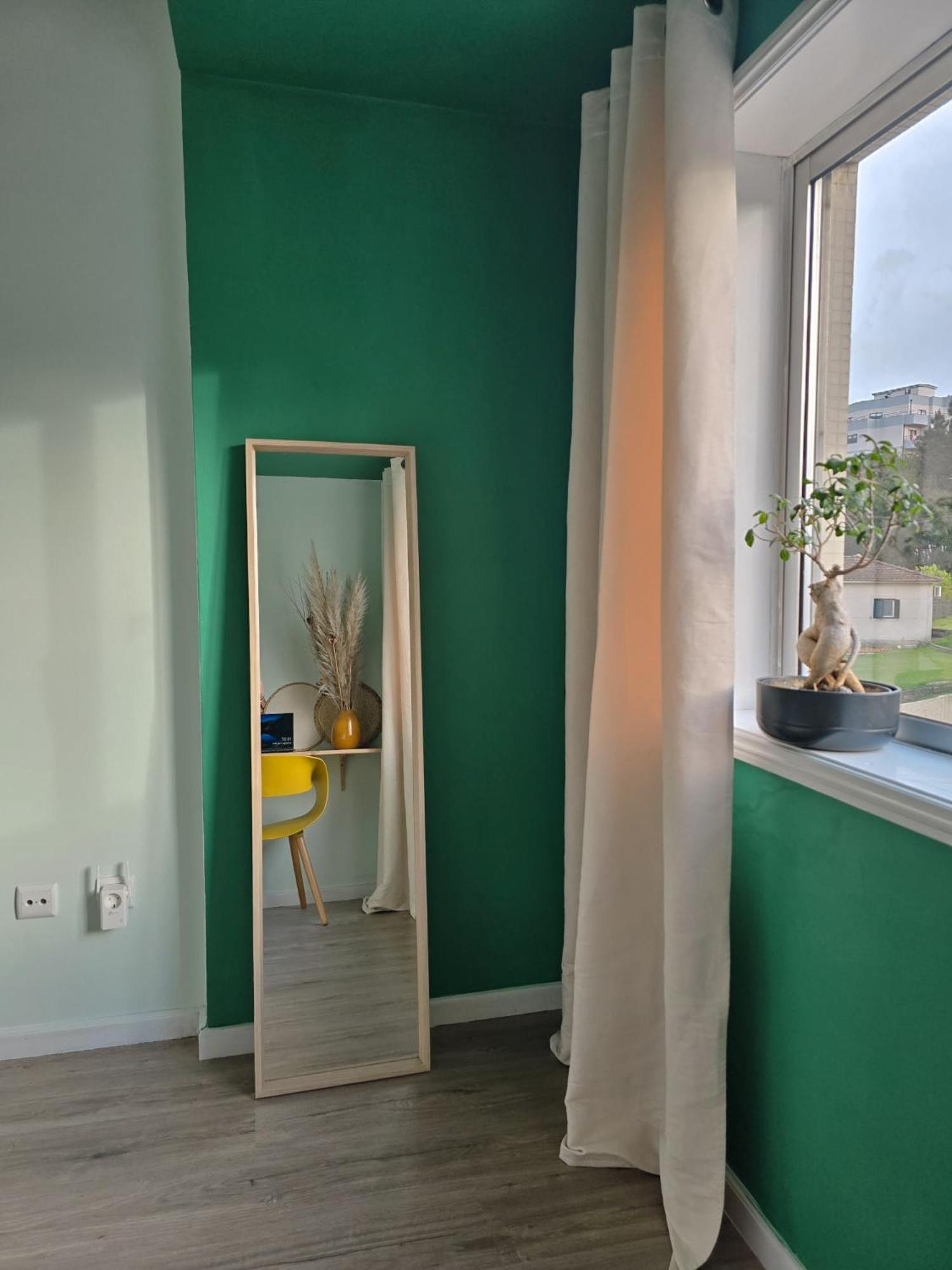 The House Of Cats Apartment Oliveira do Douro  Luaran gambar